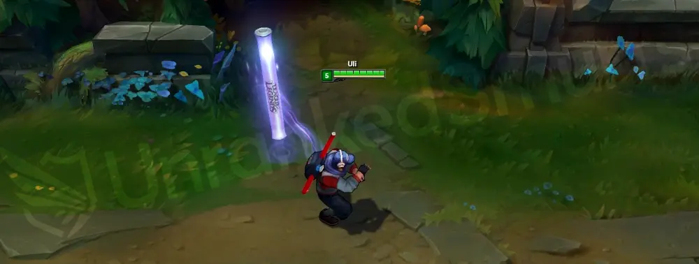 TPA Shen emote/taunt animation close-up