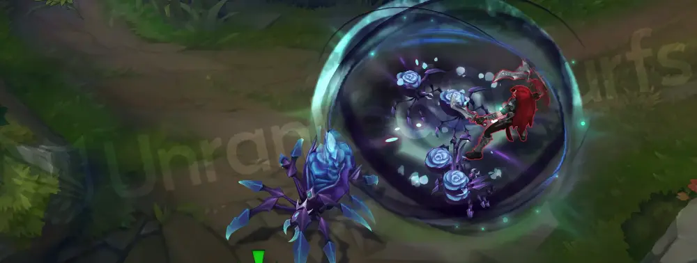 Withered Rose Elise W burst visual